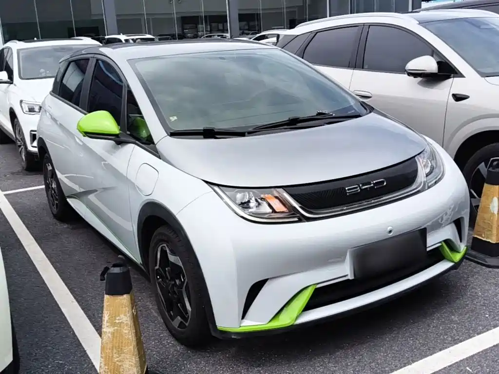 BYD Dolphin 2022