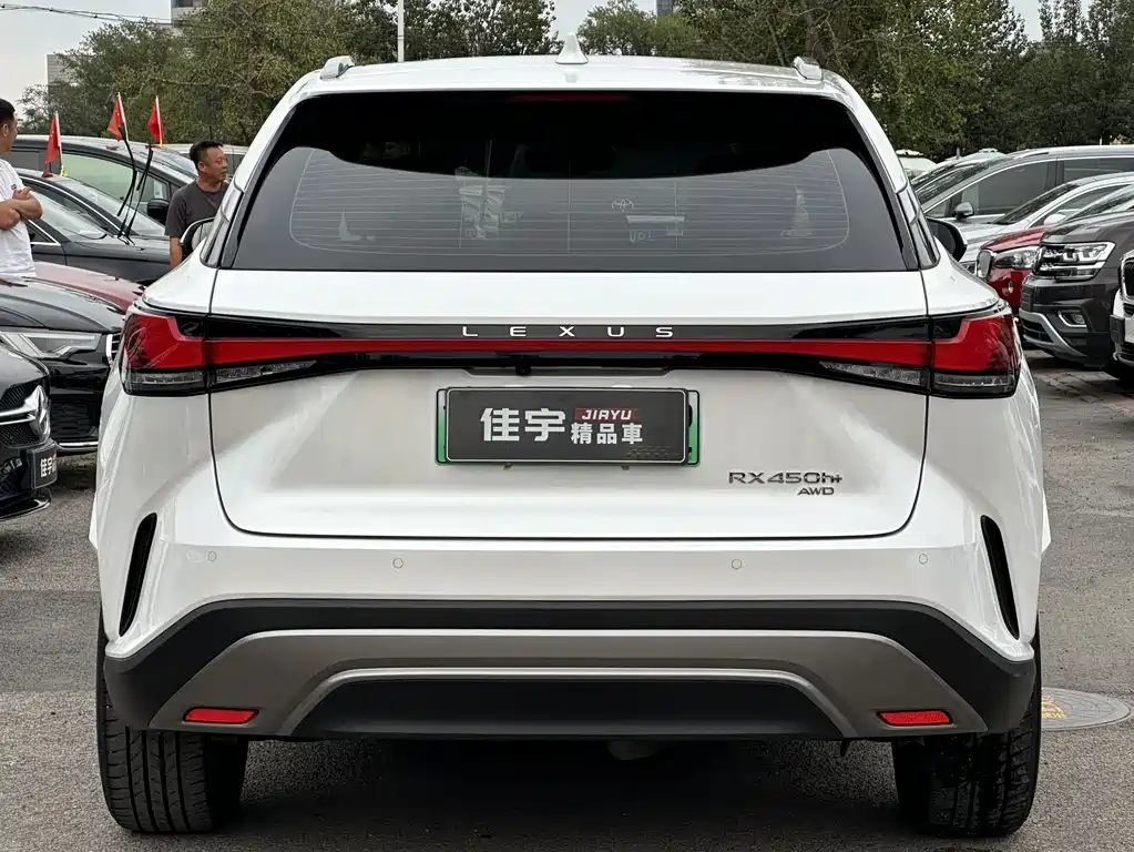 Lexus RX New Energy 2024 — фото 5
