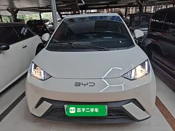 BYD Seagull 2024