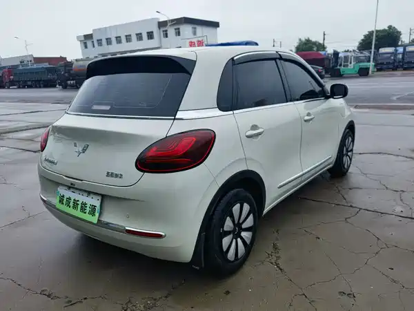 Wuling Bingo 2024