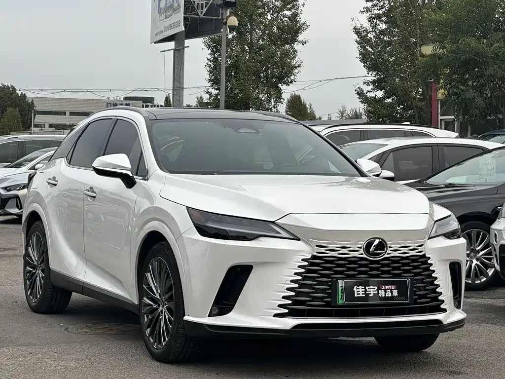 Lexus RX New Energy 2024 — фото 3