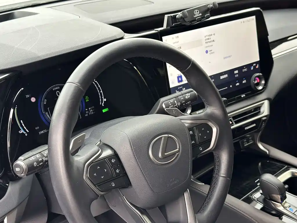 Lexus RX New Energy 2024 — фото 12