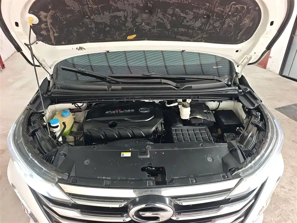 GAC Motor Trumpchi M6 2020 — фото 16