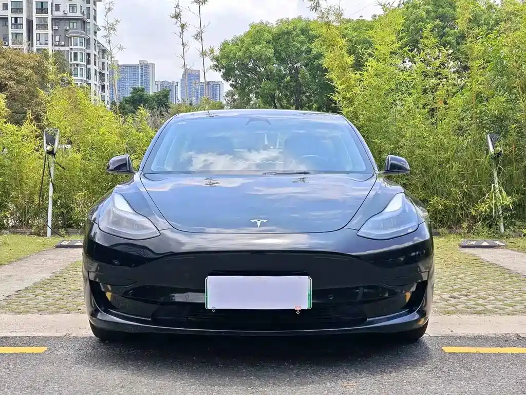 Tesla Model 3 2022 — фото 2