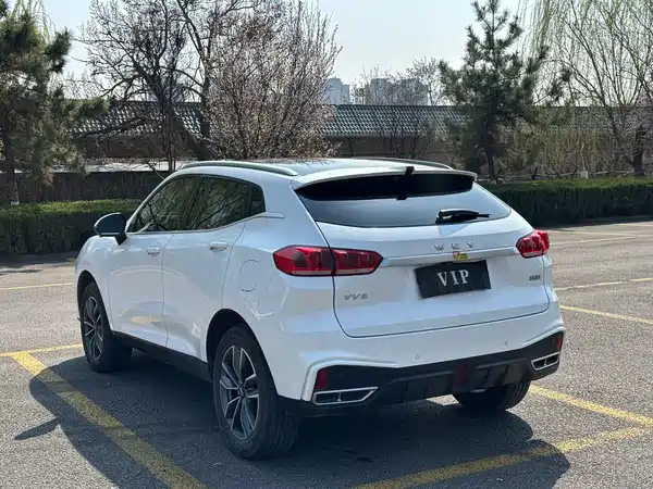 Wey VV5 2021