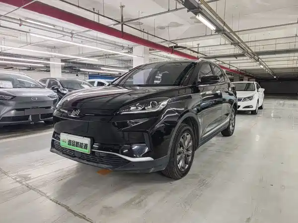 WM Motor EX5 2019