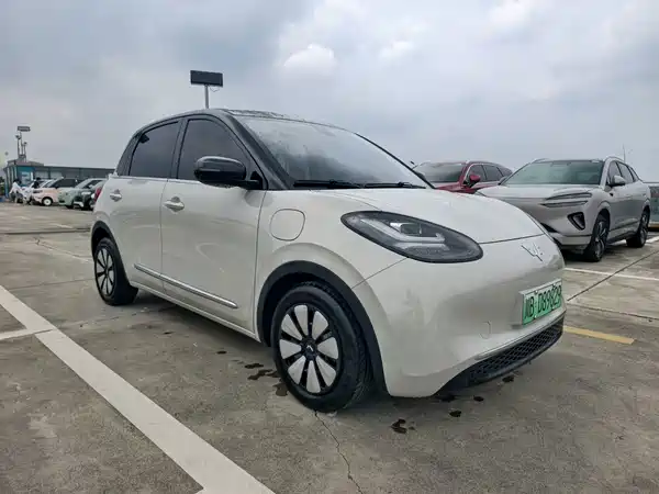 Wuling Bingo 2023