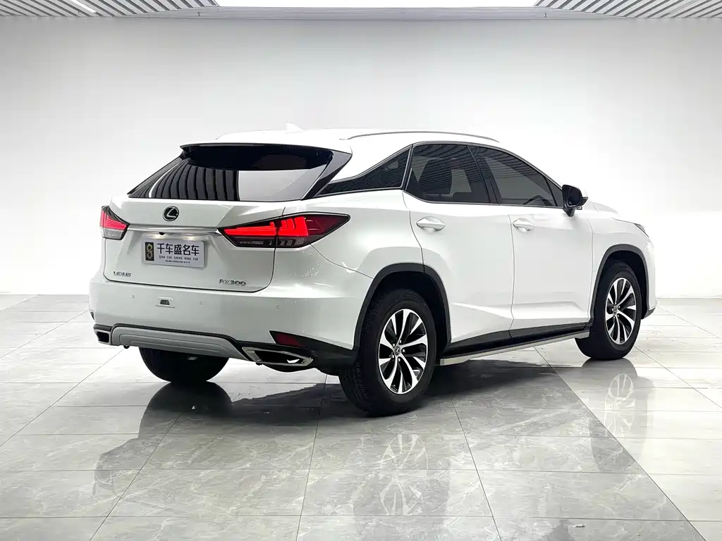 Lexus RX 2022 — фото 6