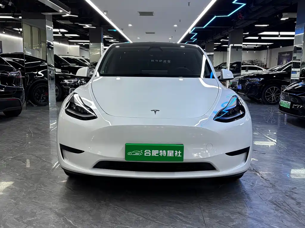 Tesla Model Y 2024 — фото 2