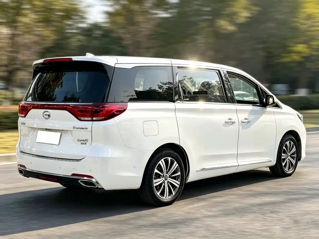 GAC Trumpchi M8 2018 — фото 12