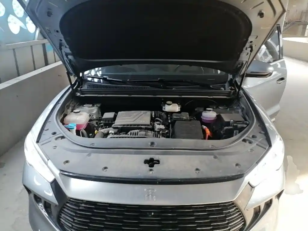 BYD Pro New Energy 2025 — фото 20