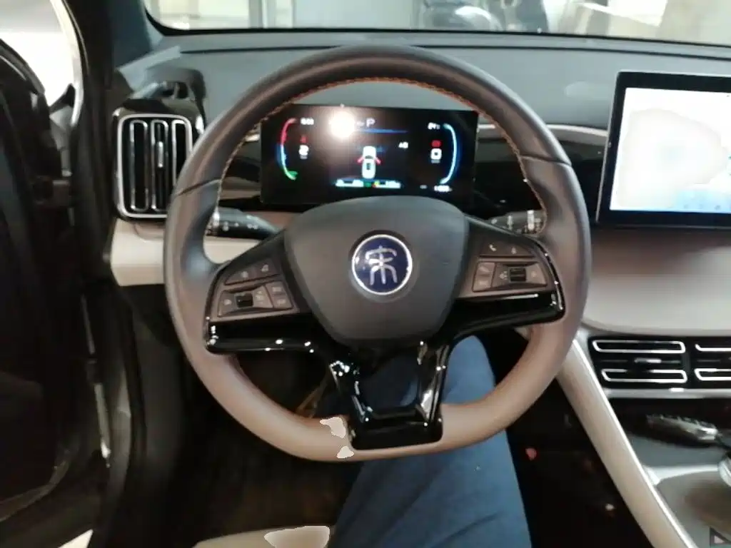 BYD Pro New Energy 2025 — фото 11