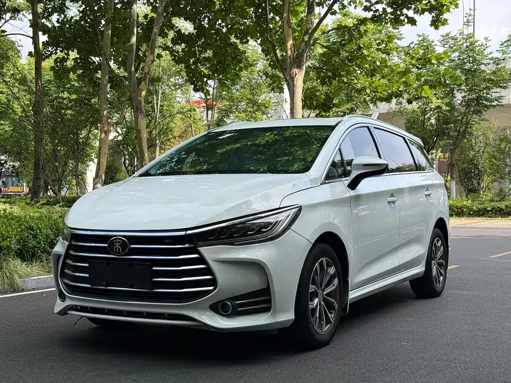 BYD MAX 2019 — фото 1