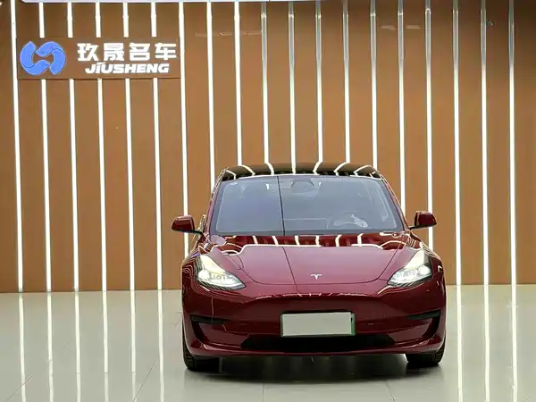 Tesla Model 3 2021