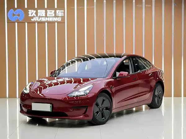 Tesla Model 3 2021