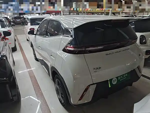 BYD Seagull 2024
