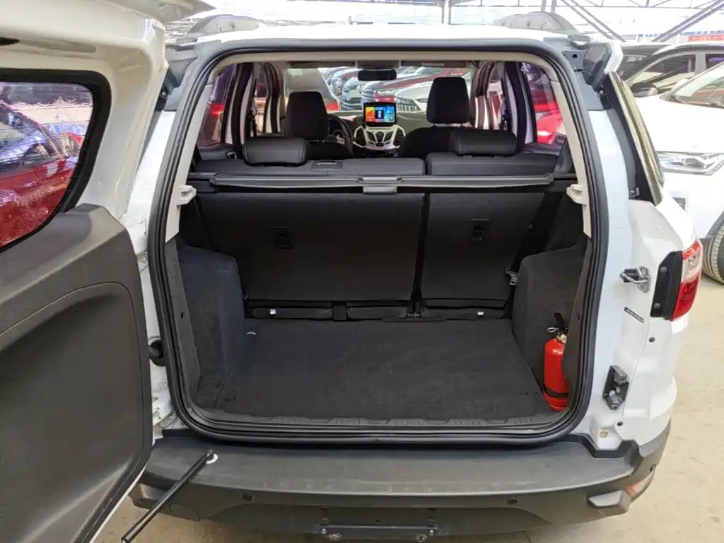 Ford Ecosport 2017 — фото 19