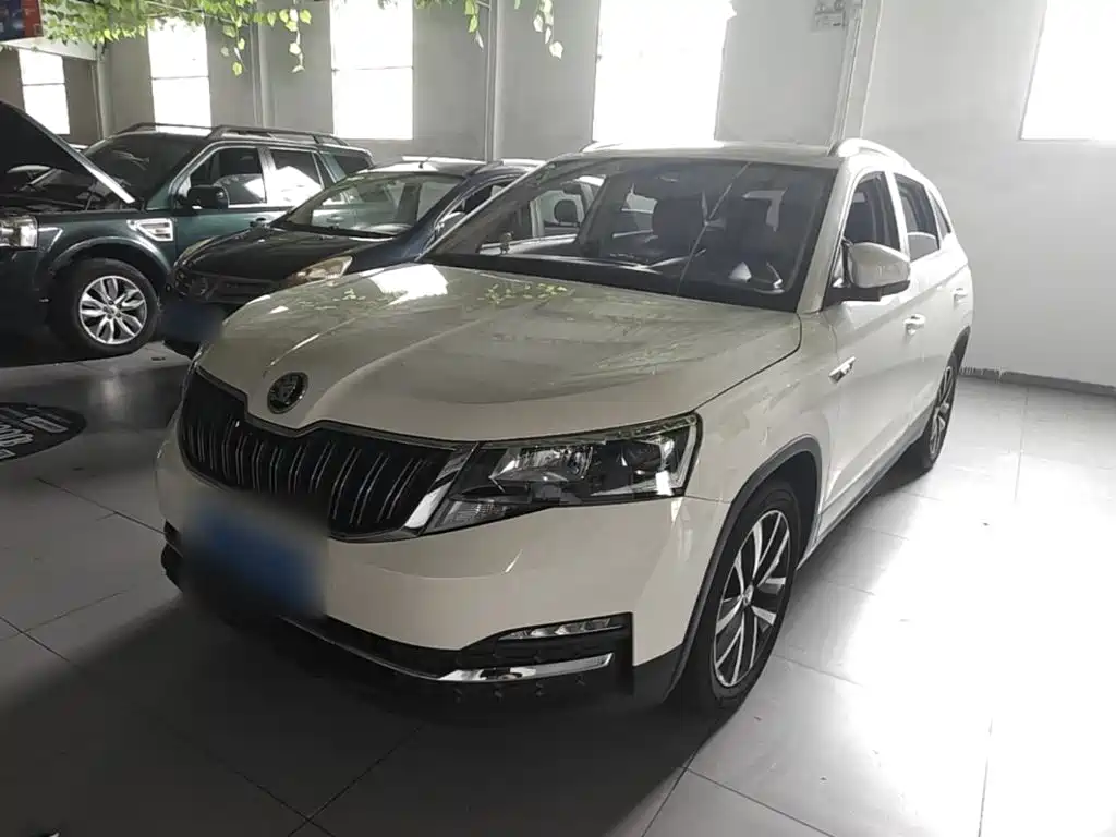 Skoda Kamiq 2019 — фото 2