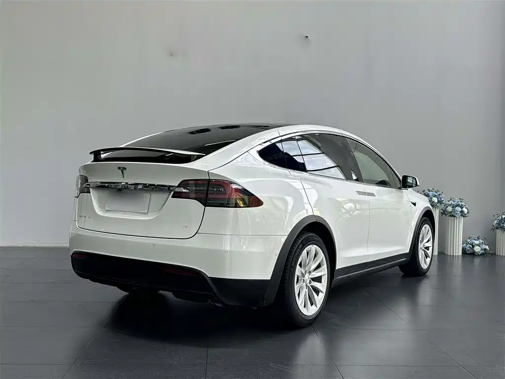 Tesla Model X 2018 — фото 7