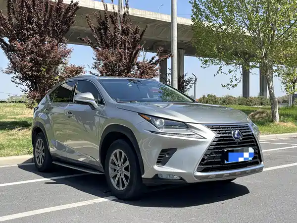 Lexus NX 2020