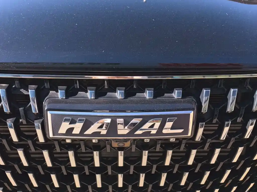 Haval H6 2023 — фото 16
