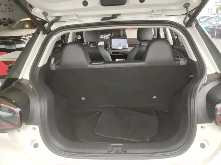 Dongfeng Nano 01 2025