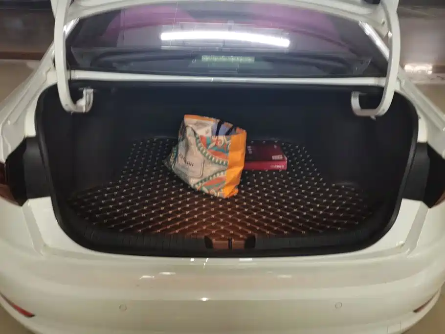 Volkswagen Sagitar 2020