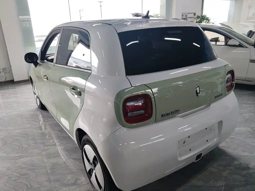 Ora Black Cat 2022