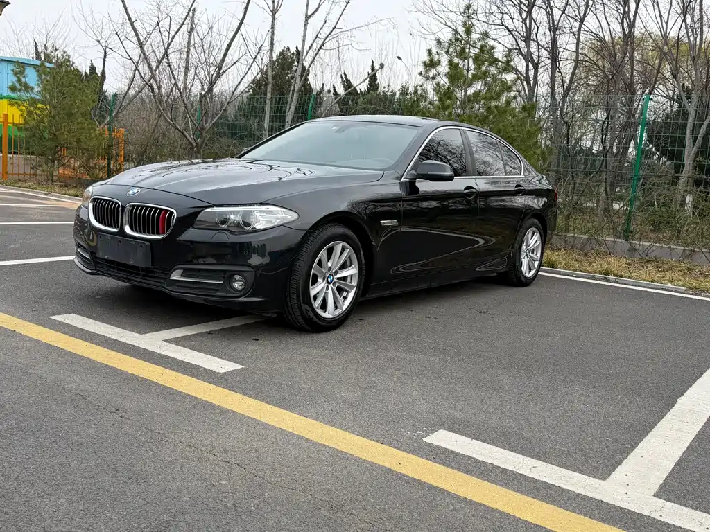BMW 5 Series 2017 — фото 1