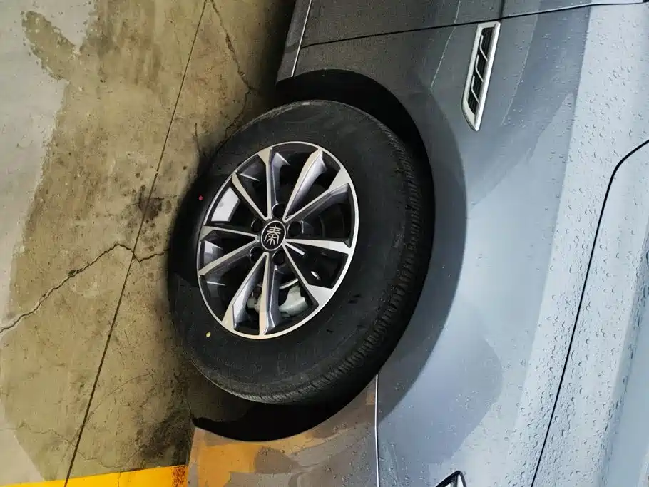 BYD Qin PLUS 2024