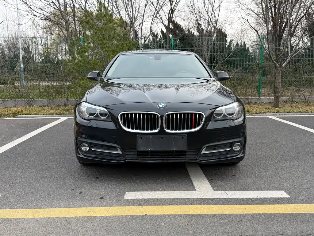 BMW 5 Series 2017 — фото 2