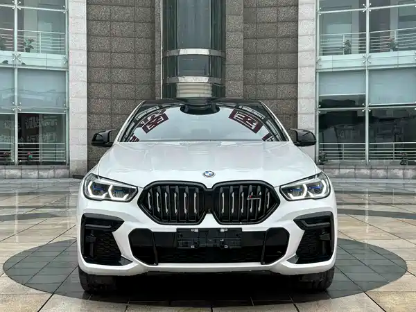 BMW X6 2022