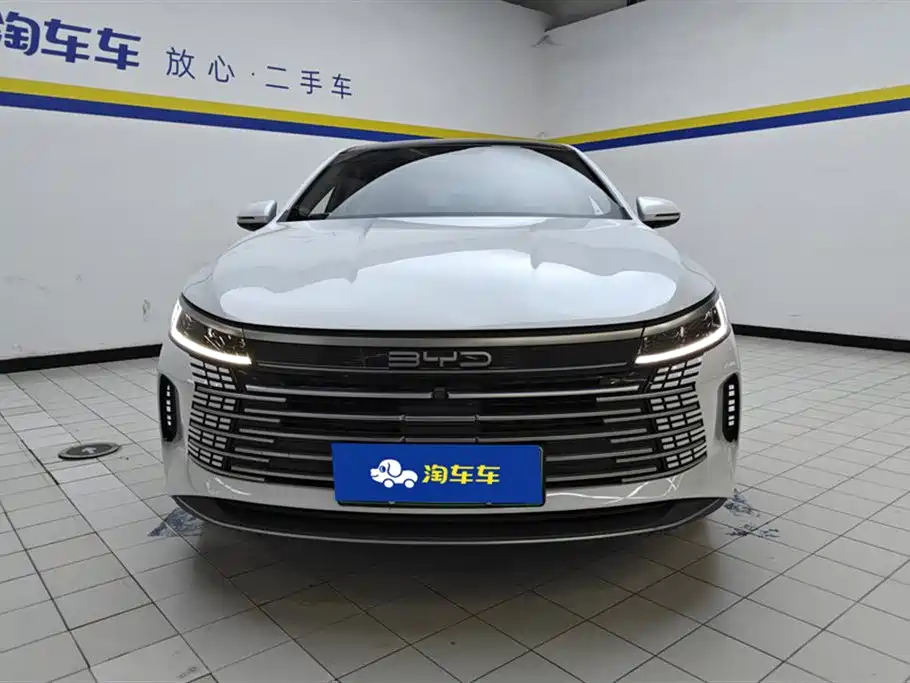 BYD Destroyer 05 2024 — фото 2
