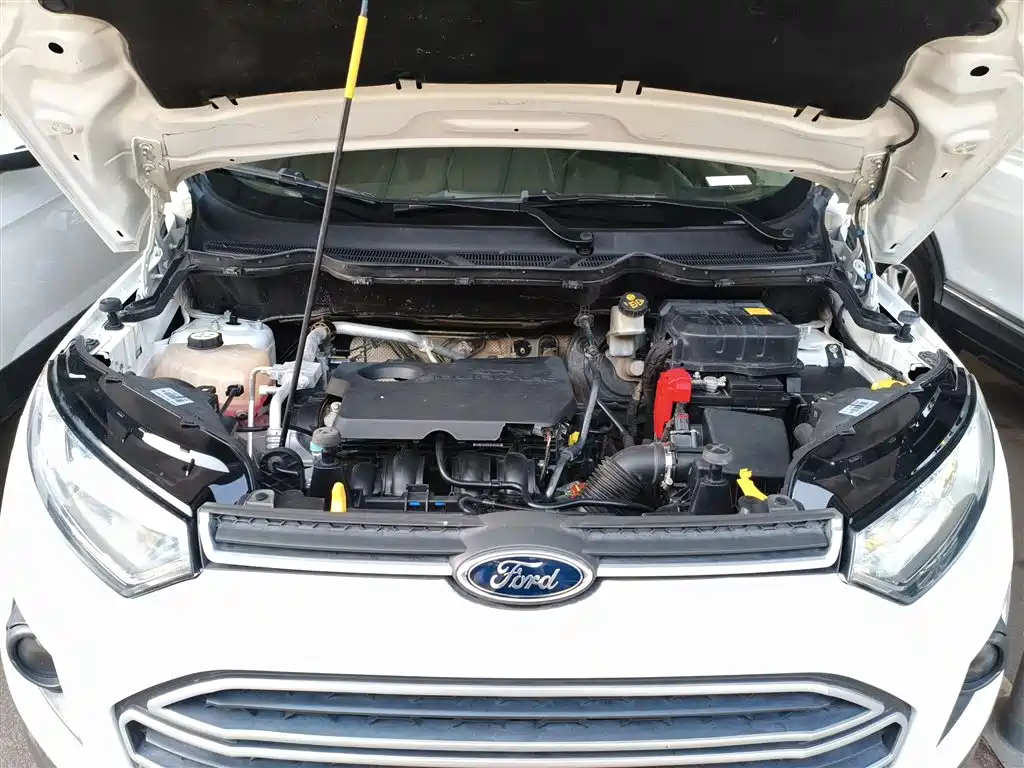 Ford Ecosport 2016 — фото 20