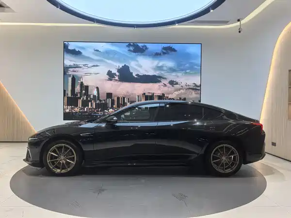 Neta S 2022