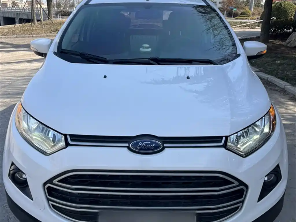 Ford Ecosport 2017 — фото 12