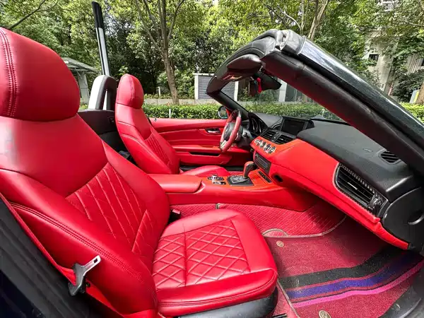 BMW Z4 2010