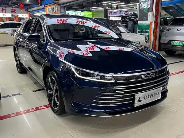 BYD Destroyer 05 2024
