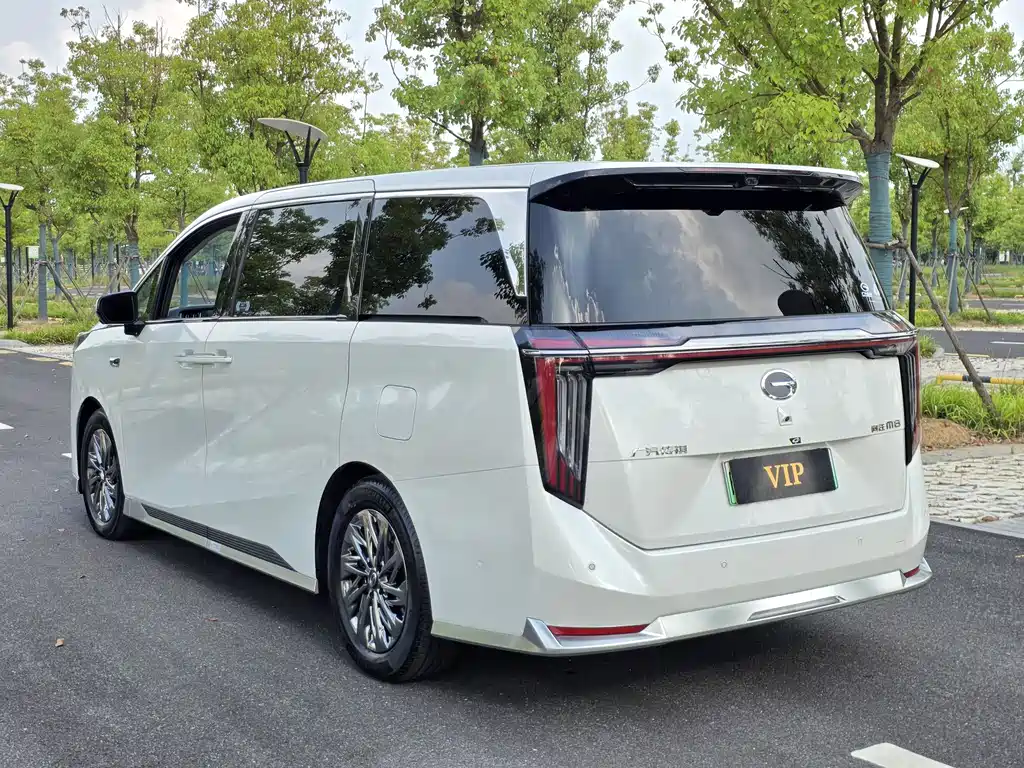 GAC Motor Xiangwang M8 2025 — фото 6
