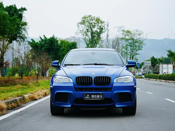 BMW X6 M 2010
