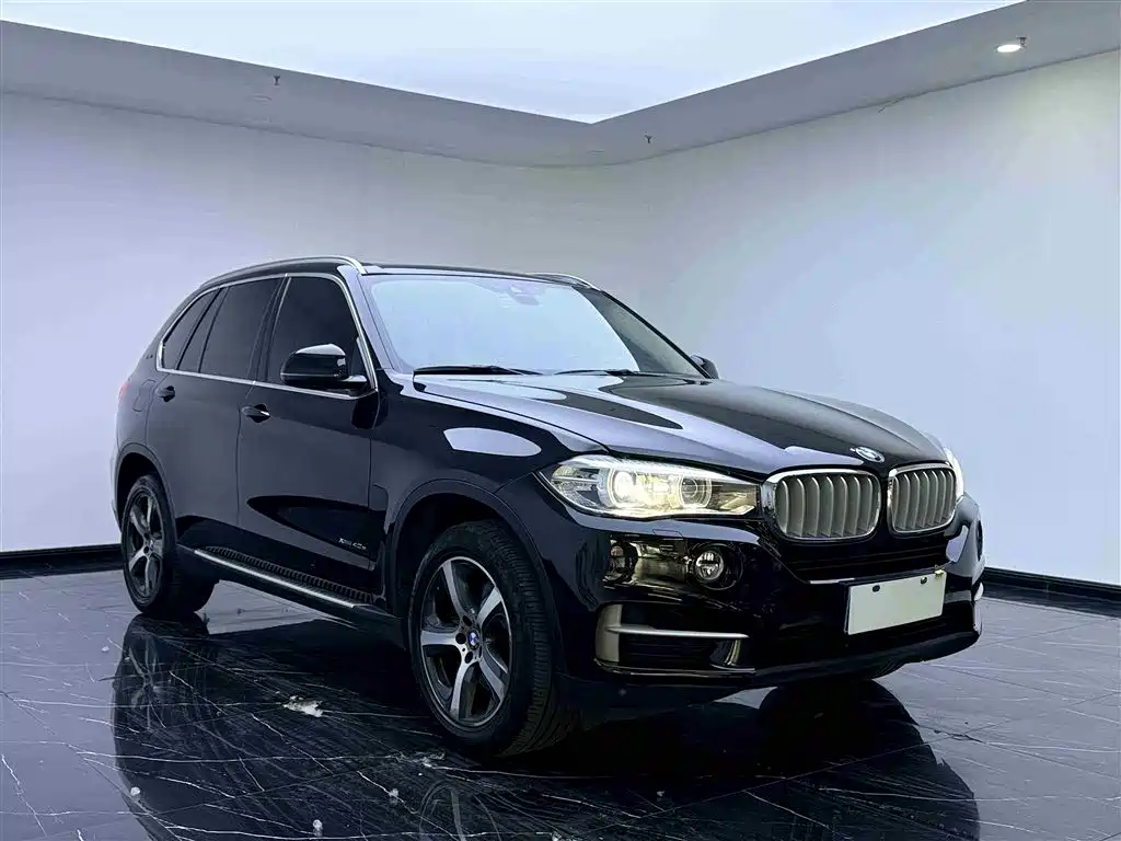 BMW X5 New Energy 2016 — фото 3