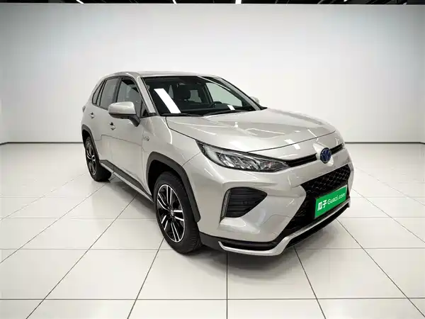 Toyota Weilanda New Energy 2021