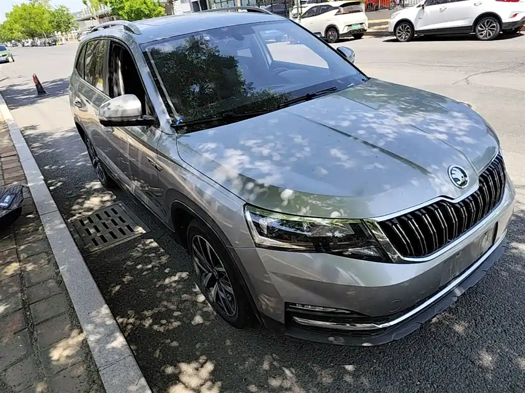 Skoda Kamiq 2020 — фото 4