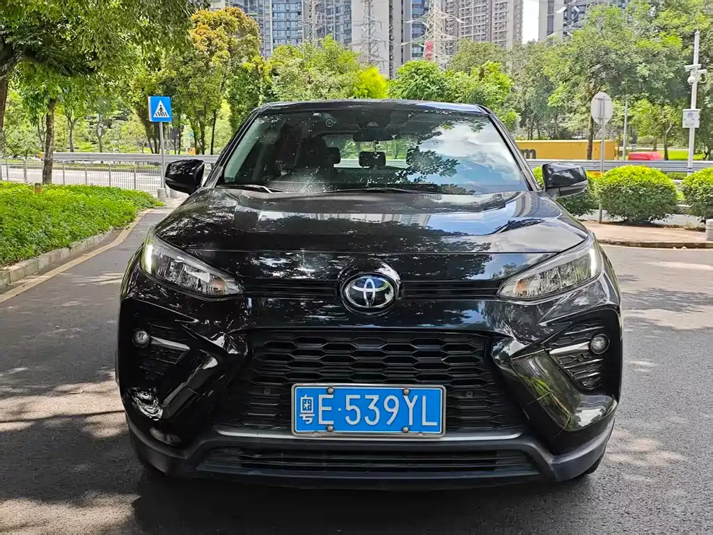 Toyota Wildlander 2020