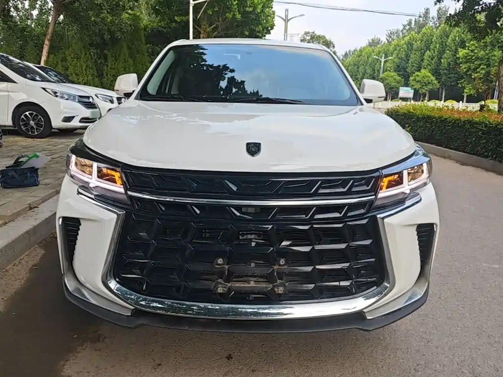 Dongfeng Fengxing T5 2024