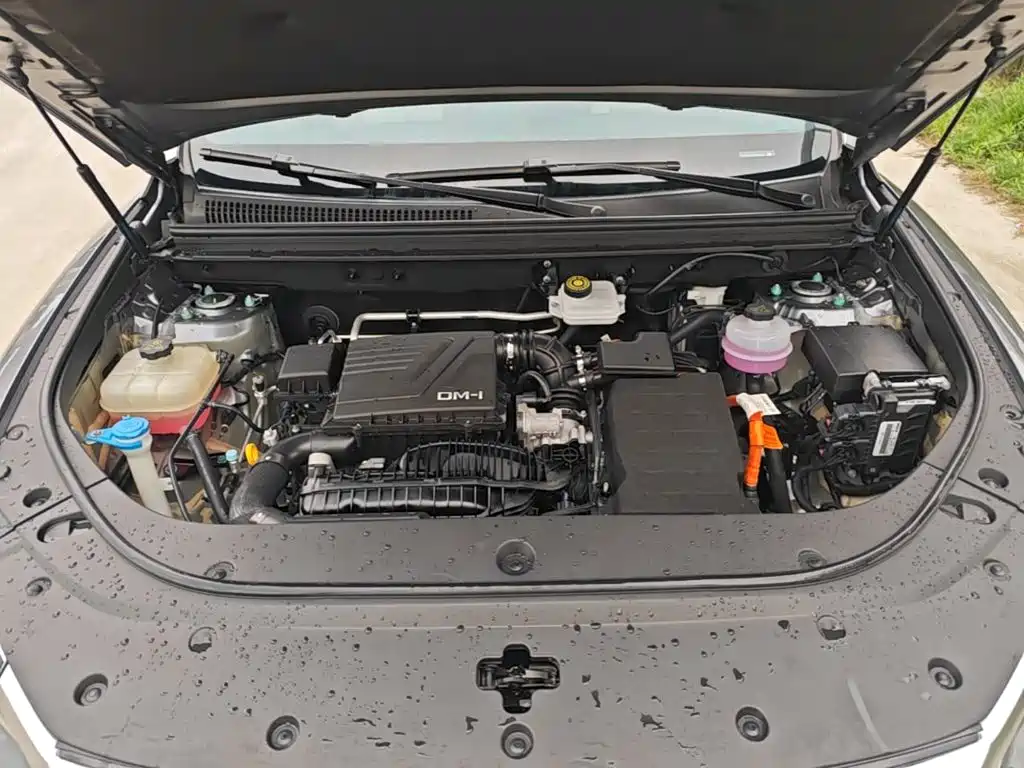 BYD Song Pro New Energy 2024 — фото 20