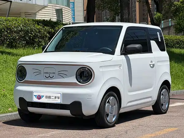 Geely Galaxy Panda 2025