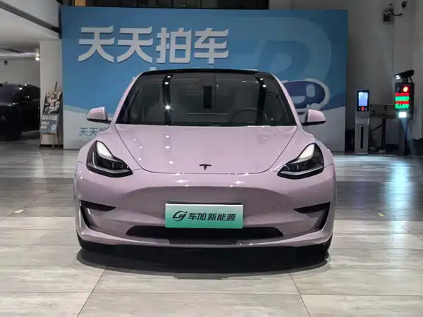 Tesla Model 3 2021