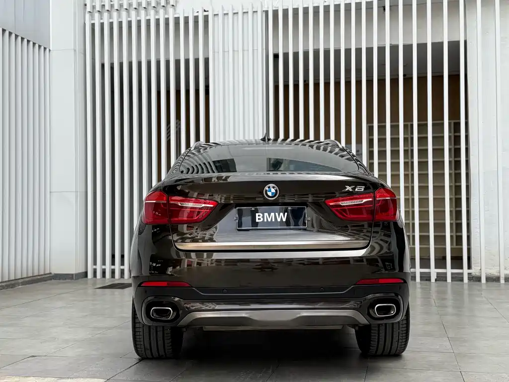 BMW X6 2019 — фото 12