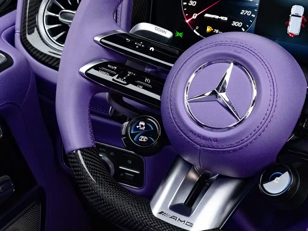 Mercedes-Benz G-Class 2010 — фото 40